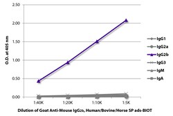 IgG2b Goat anti-Mouse, Human/Bovine/Horse SP ads, Biotin, Polyclonal, Southern Biotech 1.0 mg | Buy Online | Southern Biotechnology Associates | Fisher Scientific