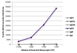 Southern Biotechnology Associates&nbsp;IgG3 Goat anti-Mouse, FITC, Polyclonal, Southern Biotech&trade;