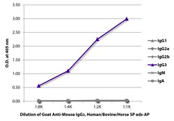 Southern Biotechnology Associates&nbsp;IgG3 Goat anti-Mouse, Human/Bovine/Horse SP ads, AP, Polyclonal, Southern Biotech&trade;