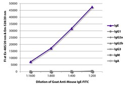 Southern Biotechnology Associates&nbsp;IgE Goat anti-Mouse, FITC, Polyclonal, Southern Biotech&trade;