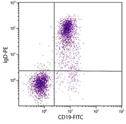 IgD Rat anti-Mouse, R-PE, Clone: 11-26, Southern Biotech 0.1 mg | Buy Online | Southern Biotechnology Associates | Fisher Scientific