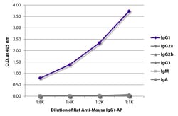 IgG1 Rat anti-Mouse, AP, Clone: SB77e, Southern Biotech™