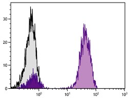 IgG1 Rat anti-Mouse, AF 488, Clone: SB77e, Southern Biotech™