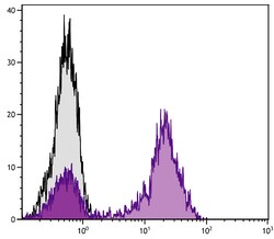 IgG2a Rat anti-Mouse, R-PE, Clone: SB84a, Southern Biotech™