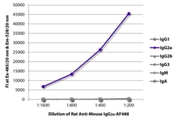 IgG2a Rat anti-Mouse, AF 488, Clone: SB84a, Southern Biotech Alexa Fluor