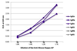 Kappa Rat anti-Mouse, AP, Clone: 187.1, Southern Biotech Alkaline Phosphatase,