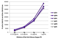 Kappa Rat anti-Mouse, R-PE, Clone: 187.1, Southern Biotech:Antibodies:Primary