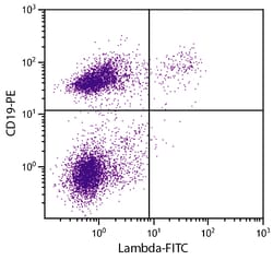 Lambda Rat anti-Mouse, FITC, Clone: JC5-1, Southern Biotech 0.5 mg | Buy Online | Southern Biotechnology Associates | Fisher Scientific