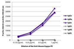 Kappa Rat anti-Mouse, R-PE, Clone: H139-52.1, Southern Biotech R-phycoerythrin,