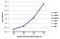 IgG2b Rat anti-Mouse, AP, Clone: SB74g, Southern Biotech™