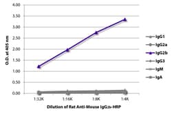 IgG2b Rat anti-Mouse, HRP, Clone: SB74g, Southern Biotech™