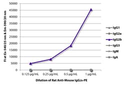 IgG2b Rat anti-Mouse, R-PE, Clone: SB74g, Southern Biotech™