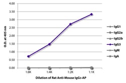 IgG3 Rat anti-Mouse, AP, Clone: SB76b, Southern Biotech™