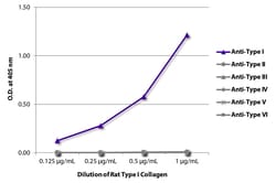 SouthernBiotech™ Rat Type I Collagen-Solution