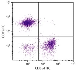 CD3 Hamster anti-Mouse, FITC, Clone: 500-A2, Southern Biotech Fluorescein,