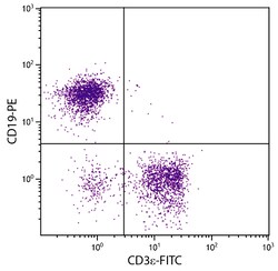 CD3 Rat anti-Mouse, FITC, Clone: C363.29B, Southern Biotech 0.1 mg | Buy Online | Southern Biotechnology Associates | Fisher Scientific