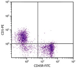 CD5 Rat anti-Mouse, R-PE, Clone: B19.1, Southern Biotech R-phycoerythrin,