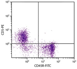 CD5 Rat anti-Mouse, R-PE, Clone: B19.1, Southern Biotech R-phycoerythrin,