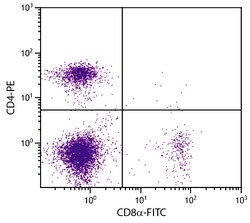 CD8 Rat anti-Mouse, FITC, Clone: 53-6.7, Southern Biotech:Antibodies:Primary