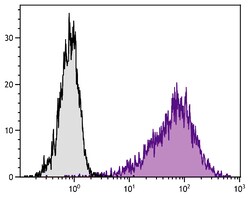 CD25 Rat anti-Mouse, R-PE, Clone: 7D4, Southern Biotech R-phycoerythrin,