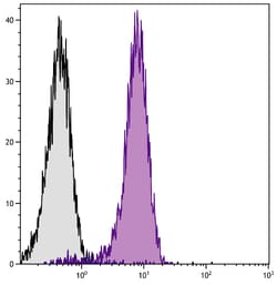 CD31 Rat anti-Mouse, R-PE, Clone: 390, Southern Biotech:Antibodies:Primary