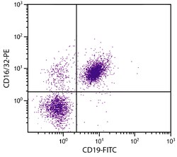 CD16/32 Rat anti-Mouse, R-PE, Clone: 93, Southern Biotech R-phycoerythrin,
