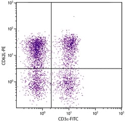 CD62L Rat anti-Mouse, R-PE, Clone: MEL-14, Southern Biotech:Antibodies:Primary
