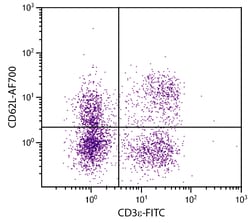 CD62L Rat anti-Mouse, AF 700, Clone: MEL-14, Southern Biotech Alexa Fluor