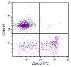 CD90.2 Rat anti-Mouse, FITC, Clone: 30-H12, Southern Biotech:Antibodies:Primary