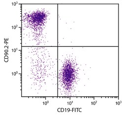 CD90.2 Rat anti-Mouse, R-PE, Clone: 30-H12, Southern Biotech R-phycoerythrin,