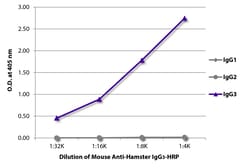 IgG3 Mouse anti-Hamster, HRP, Clone: SB139b, Southern Biotech&trade;