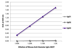 Southern Biotechnology Associates&nbsp;IgG3 Mouse anti-Hamster, Biotin, Clone: SB139b, Southern Biotech&trade;