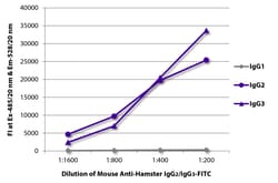 Southern Biotechnology Associates&nbsp;IgG2/IgG3 Mouse anti-Hamster, FITC, Clone: SB139e, Southern Biotech&trade;