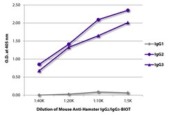 Southern Biotechnology Associates&nbsp;IgG2/IgG3 Mouse anti-Hamster, Biotin, Clone: SB139e, Southern Biotech&trade;