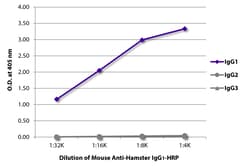 Southern Biotechnology Associates&nbsp;IgG1 Mouse anti-Hamster, HRP, Clone: SB139a, Southern Biotech&trade;