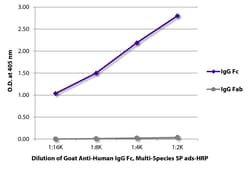 IgG Fc Goat anti-Human, Multi_Species SP ads, HRP, Polyclonal, Southern Biotech&trade;