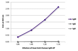 IgM Goat anti-Human, AP, Polyclonal, Southern Biotech&trade;