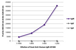 Southern Biotechnology Associates&nbsp;IgM Goat anti-Human, AF 488, Polyclonal, Southern Biotech&trade;