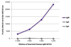 Southern Biotechnology Associates&nbsp;IgM Goat anti-Human, AF 555, Polyclonal, Southern Biotech&trade;