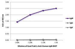 Southern Biotechnology Associates&nbsp;IgM Goat F(ab')2 anti-Human, Biotin, Polyclonal, Southern Biotech&trade;