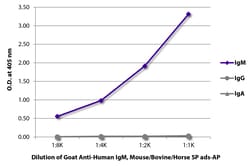 Southern Biotechnology Associates&nbsp;IgM Goat anti-Human, Mouse/Bovine/Horse SP ads, AP, Polyclonal, Southern Biotech&trade;