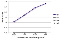 Southern Biotechnology Associates&nbsp;IgD Goat anti-Human, Biotin, Polyclonal, Southern Biotech&trade;