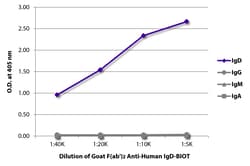 IgD Goat F(ab')2 anti-Human, Biotin, Polyclonal, Southern Biotech 0.5 mg | Buy Online | Southern Biotechnology Associates | Fisher Scientific