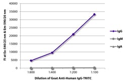 IgG Goat anti-Human, TRITC (Rhodamine), Polyclonal, Southern Biotech&trade;