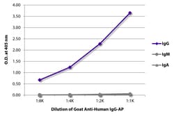 Southern Biotechnology Associates&nbsp;IgG Goat anti-Human, AP, Polyclonal, Southern Biotech&trade;