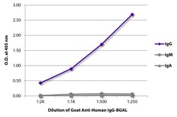 IgG Goat anti-Human, BGAL ( -galactosidase), Polyclonal, Southern Biotech