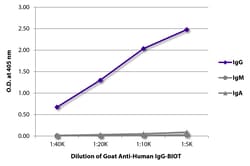 IgG Goat anti-Human, Biotin, Polyclonal, Southern Biotech Biotin, 1mg:Antibodies,