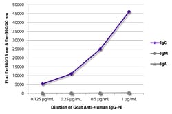 Southern Biotechnology Associates&nbsp;IgG Goat anti-Human, R-PE, Polyclonal, Southern Biotech&trade;