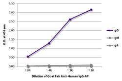 Southern Biotechnology Associates&nbsp;IgG Goat Fab anti-Human, AP, Polyclonal, Southern Biotech&trade;