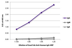 IgG Goat Fab anti-Human, HRP, Polyclonal, Southern Biotech Horseradish